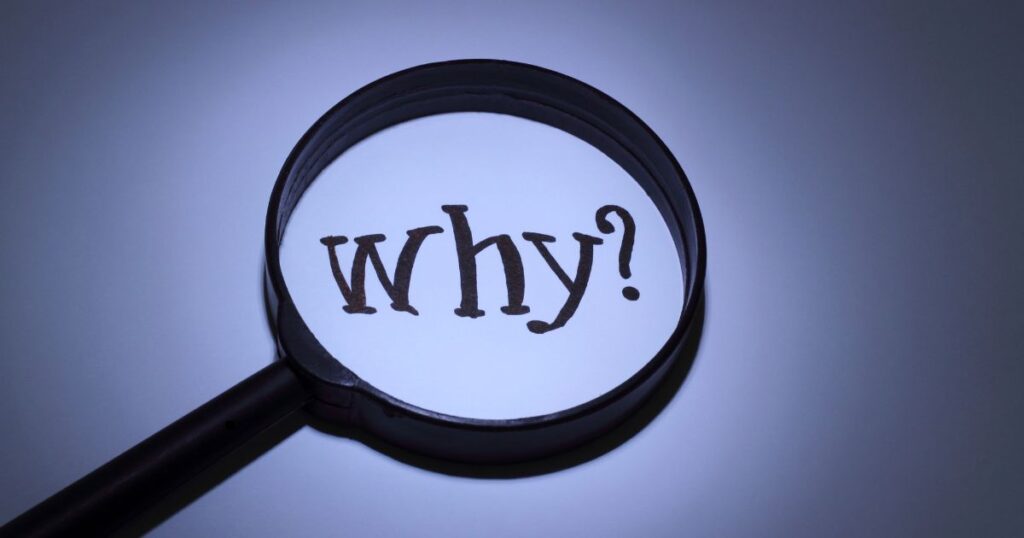 why I’m building Capabilisense Medium